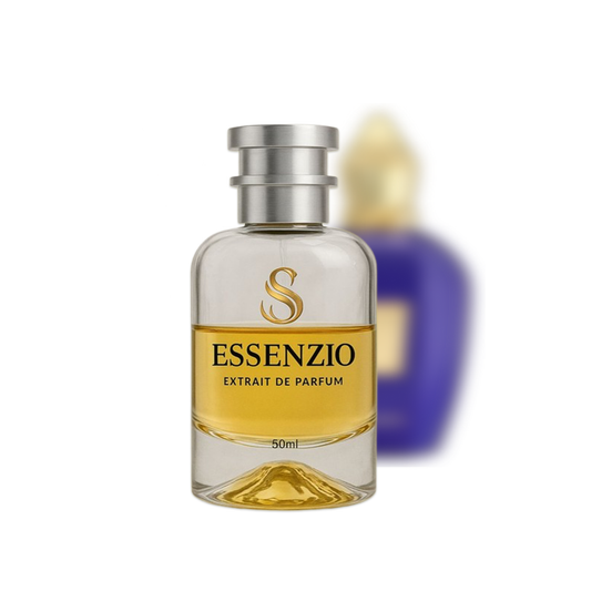 S165 inspiriert von Accento